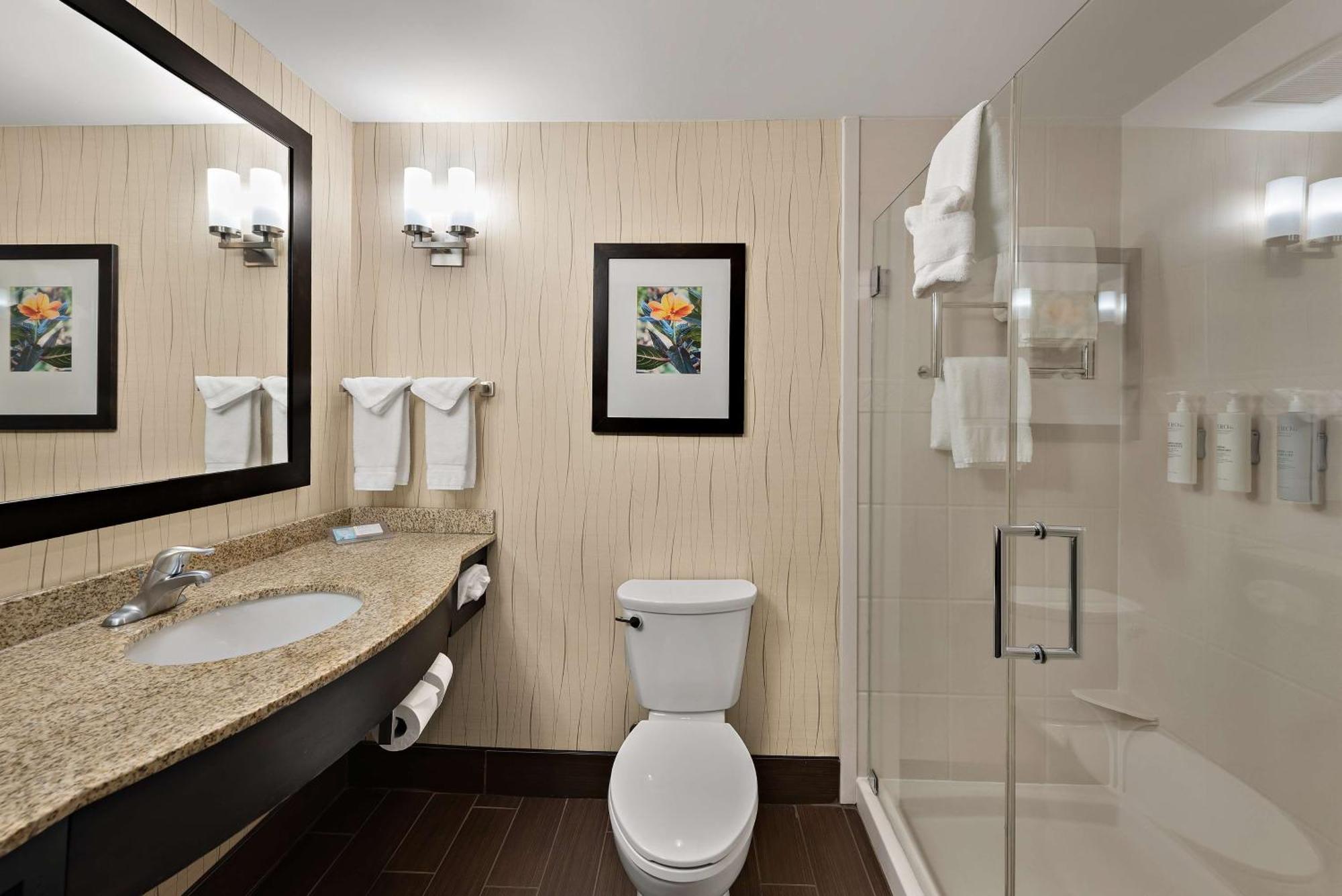 Hilton Garden Inn Findlay Eksteriør billede